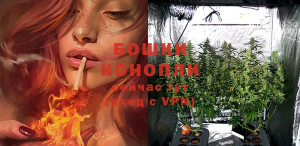 таблы Новозыбков