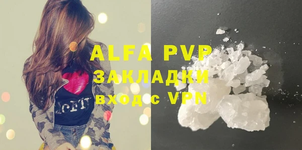ешки Новодвинск
