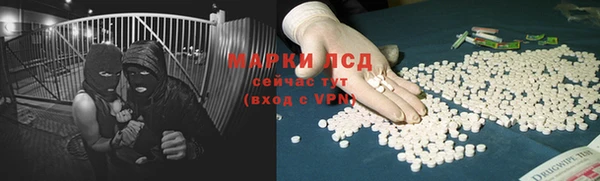 стаф Березники