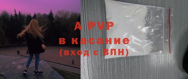 ешки Новодвинск
