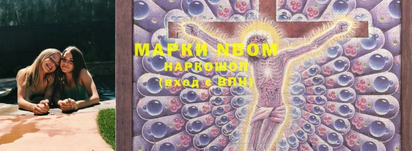 ешки Новодвинск