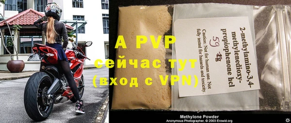 ешки Новодвинск