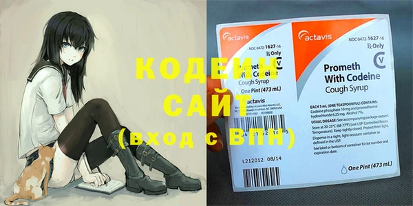ешки Новодвинск