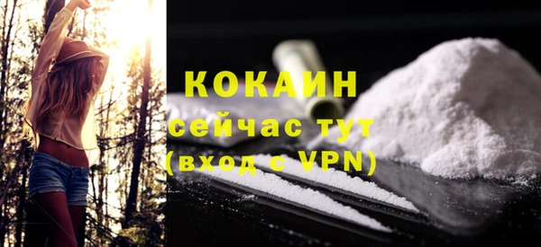 таблы Новозыбков