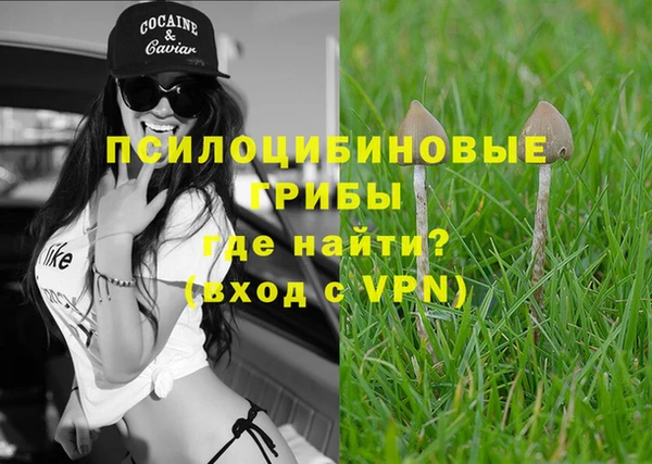 ешки Новодвинск