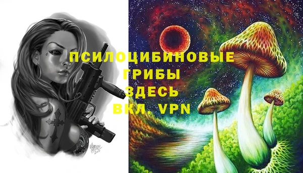 таблы Новозыбков