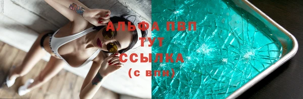 ешки Новодвинск