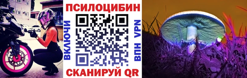 Галлюциногенные грибы мицелий  Новое Девяткино 